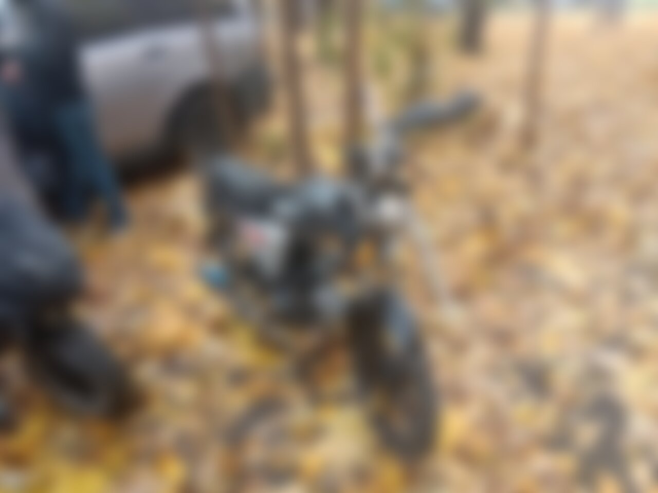 alpha gepard 2013 г